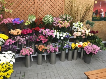 「こばやし生花店」　（北海道函館市）の花屋店舗写真4