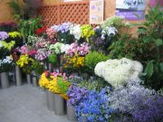 「こばやし生花店」　（北海道函館市）の花屋店舗写真2